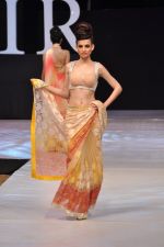 Model walk the ramp for Neeta Lulla Show at IRFW 2012 Day 2 in Goa on 29th Nov 2012 (16).JPG